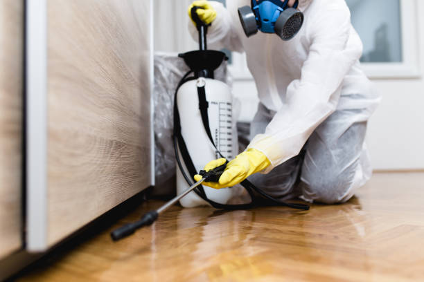 Best Cockroach Control Services  in Greenfield, MO