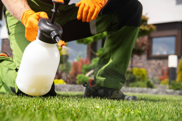 Reliable Greenfield, MO Pest Control Solutions