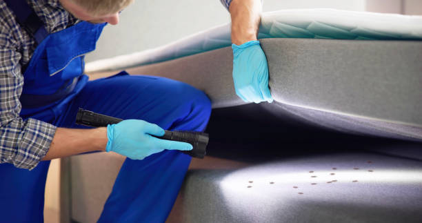 Best Commercial Pest Control Services  in Greenfield, MO