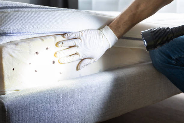 Best Emergency Pest Control  in Greenfield, MO