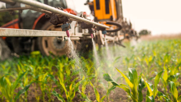 Best Ant Control Services  in Greenfield, MO