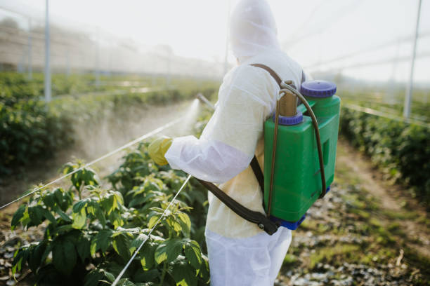 Best Wildlife Control Services  in Greenfield, MO